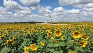 Sunflower Wind Project Photo 351